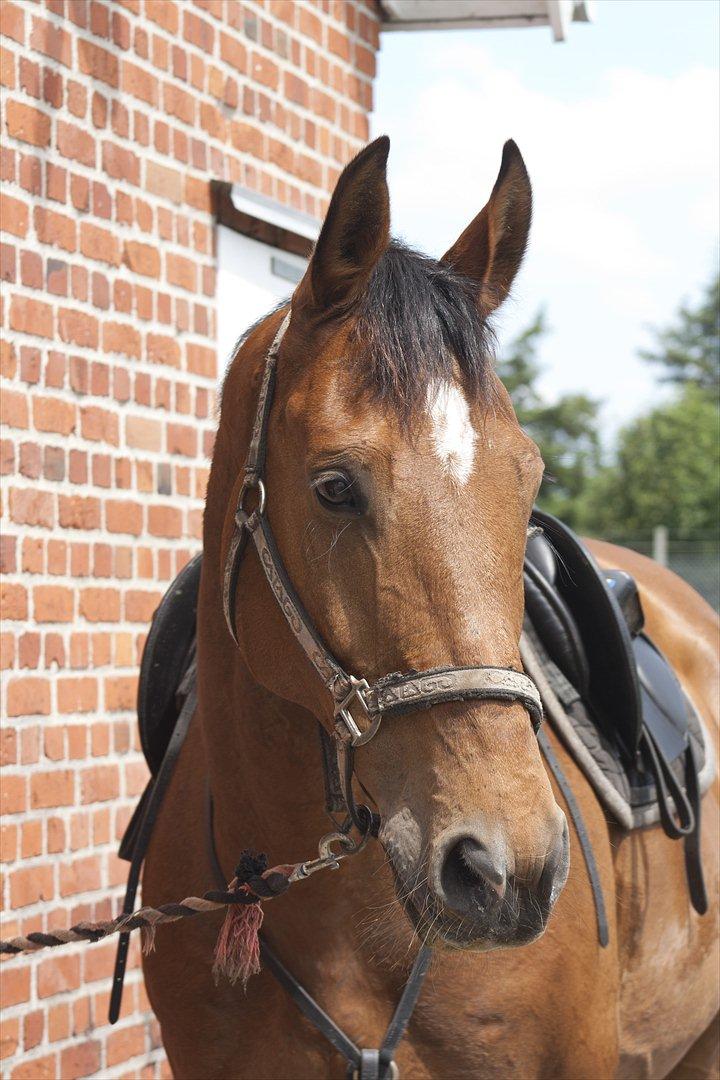 Billeder til min veninde  billede 91