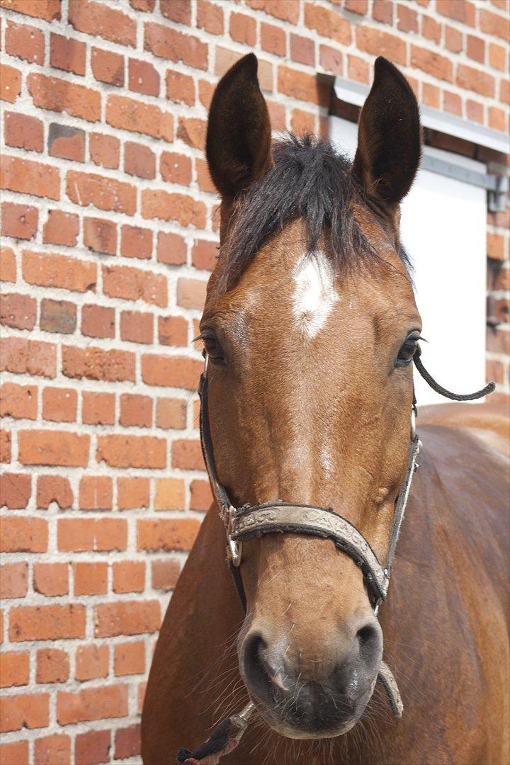 Billeder til min veninde  billede 92