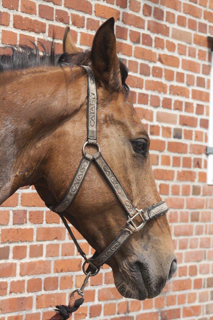 Billeder til min veninde  billede 93