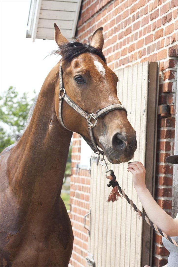 Billeder til min veninde  billede 94