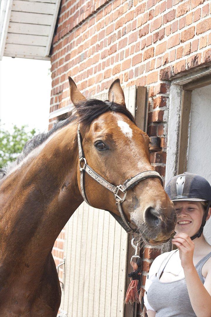 Billeder til min veninde  billede 95