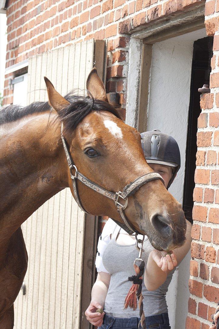 Billeder til min veninde  billede 96