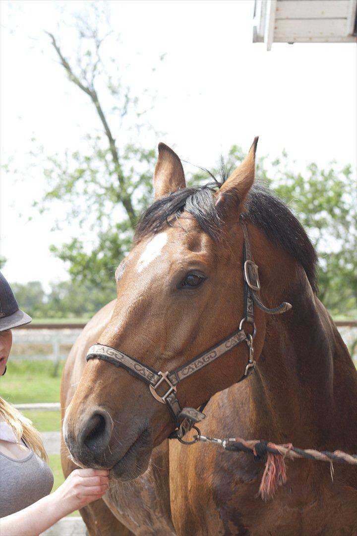 Billeder til min veninde  billede 97