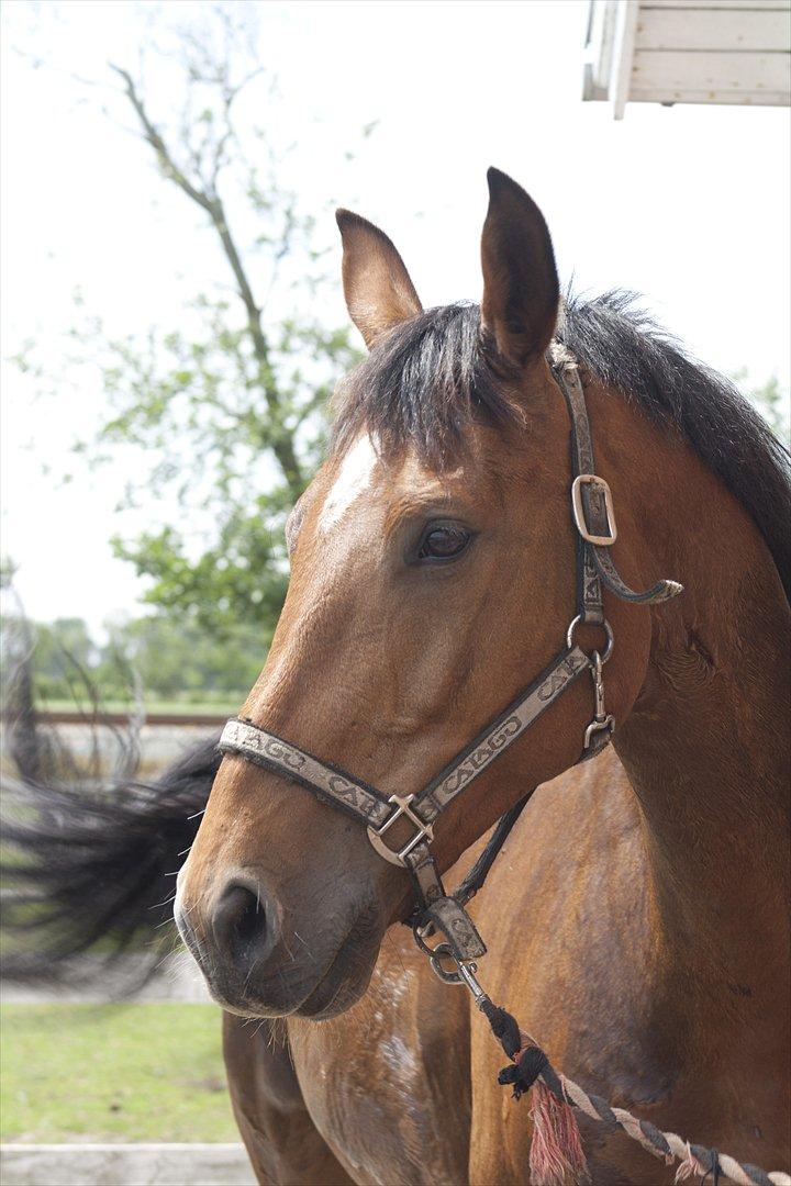 Billeder til min veninde  billede 98