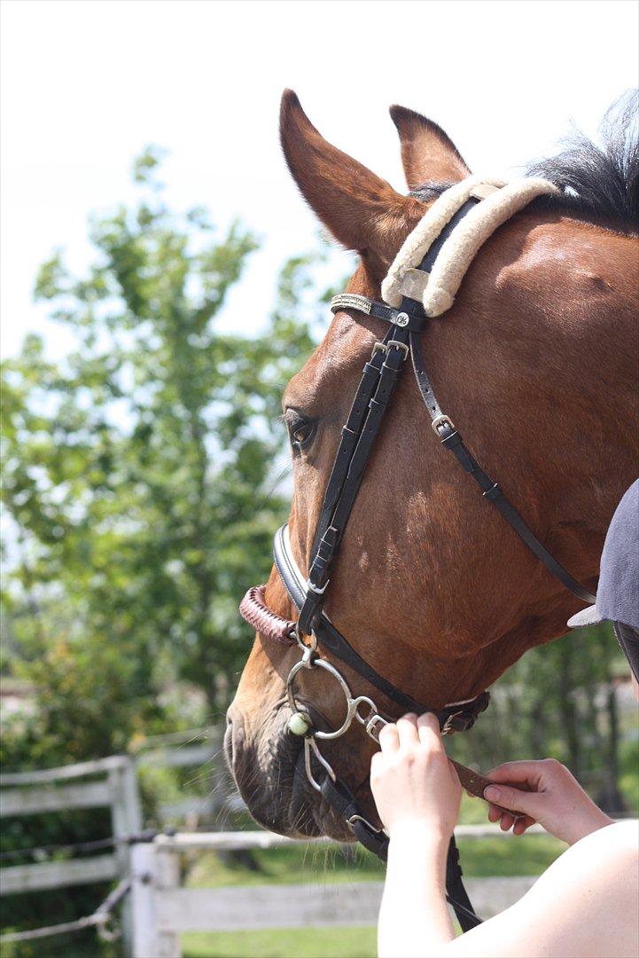 Billeder til min veninde  billede 99