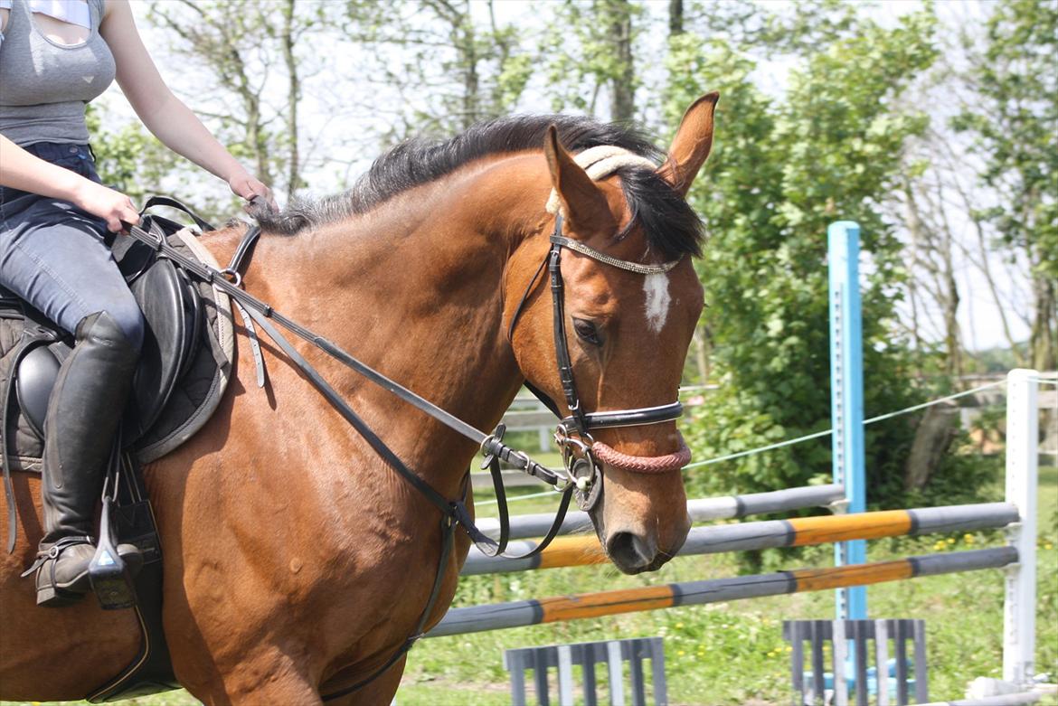 Billeder til min veninde  billede 100