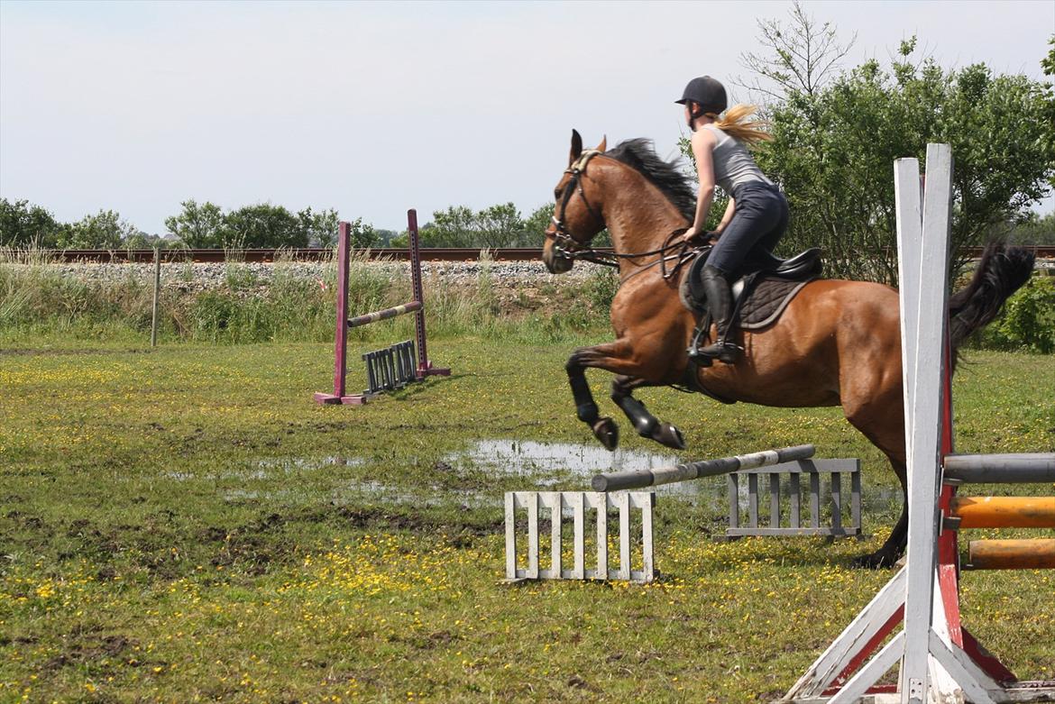 Billeder til min veninde  billede 102