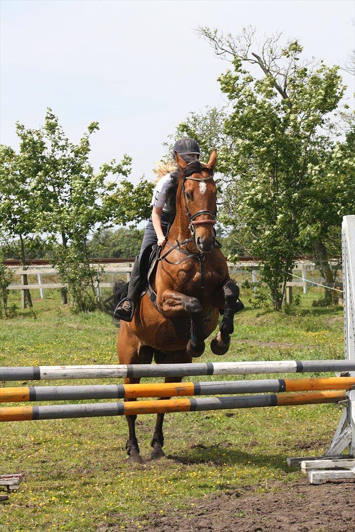 Billeder til min veninde  billede 105