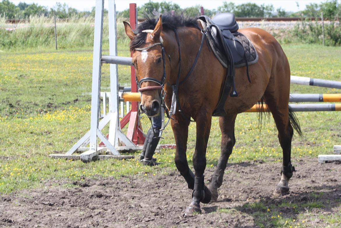 Billeder til min veninde  billede 108