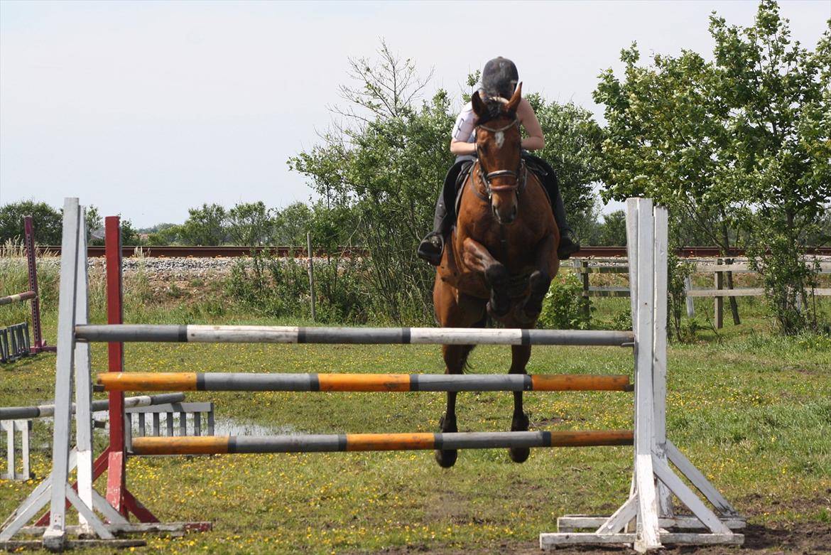 Billeder til min veninde  billede 110