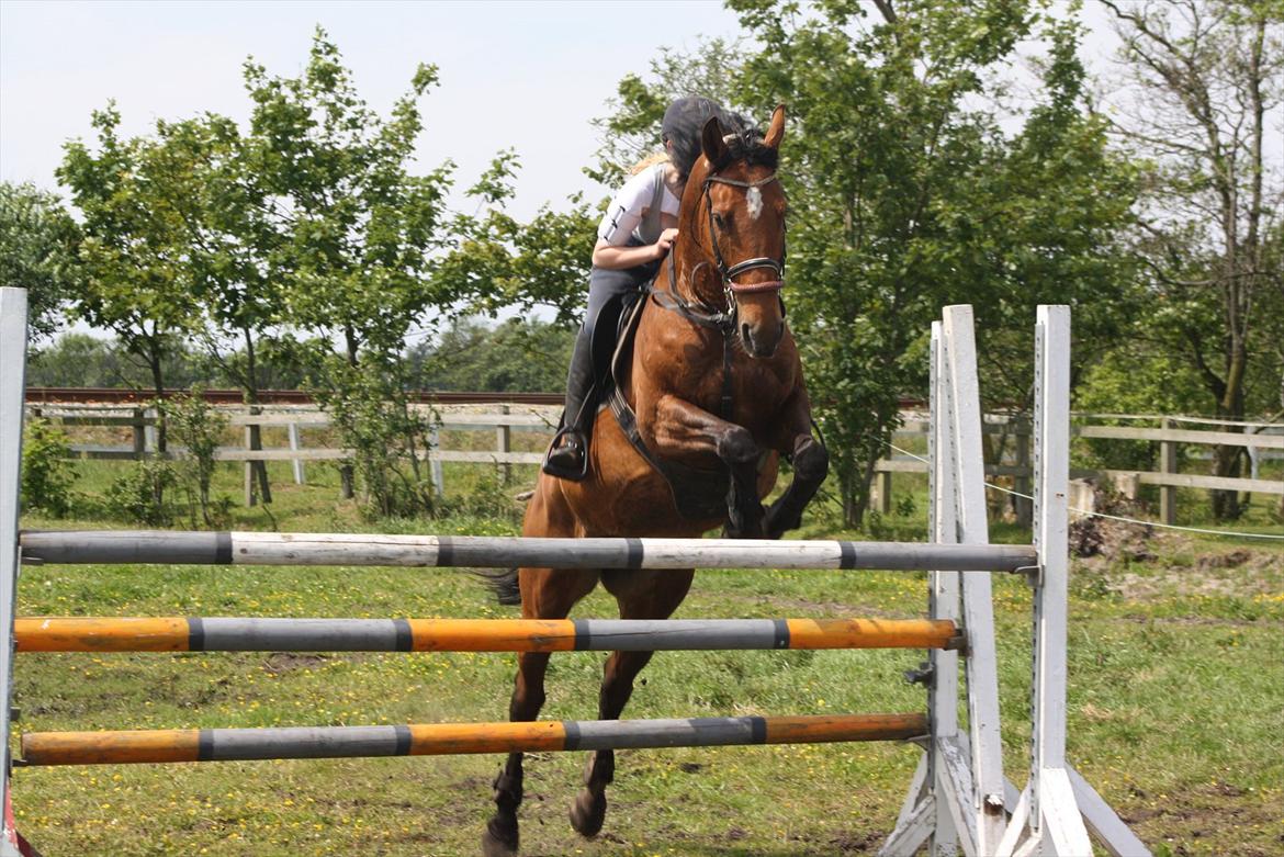 Billeder til min veninde  billede 111