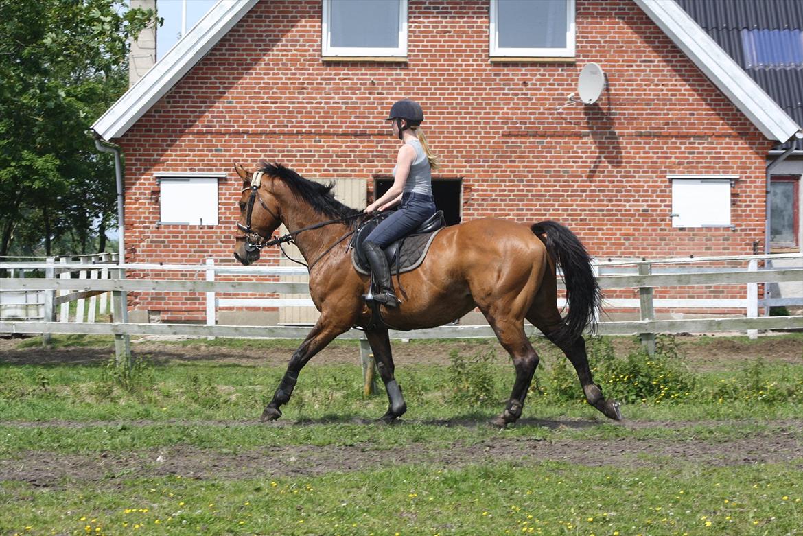 Billeder til min veninde  billede 115