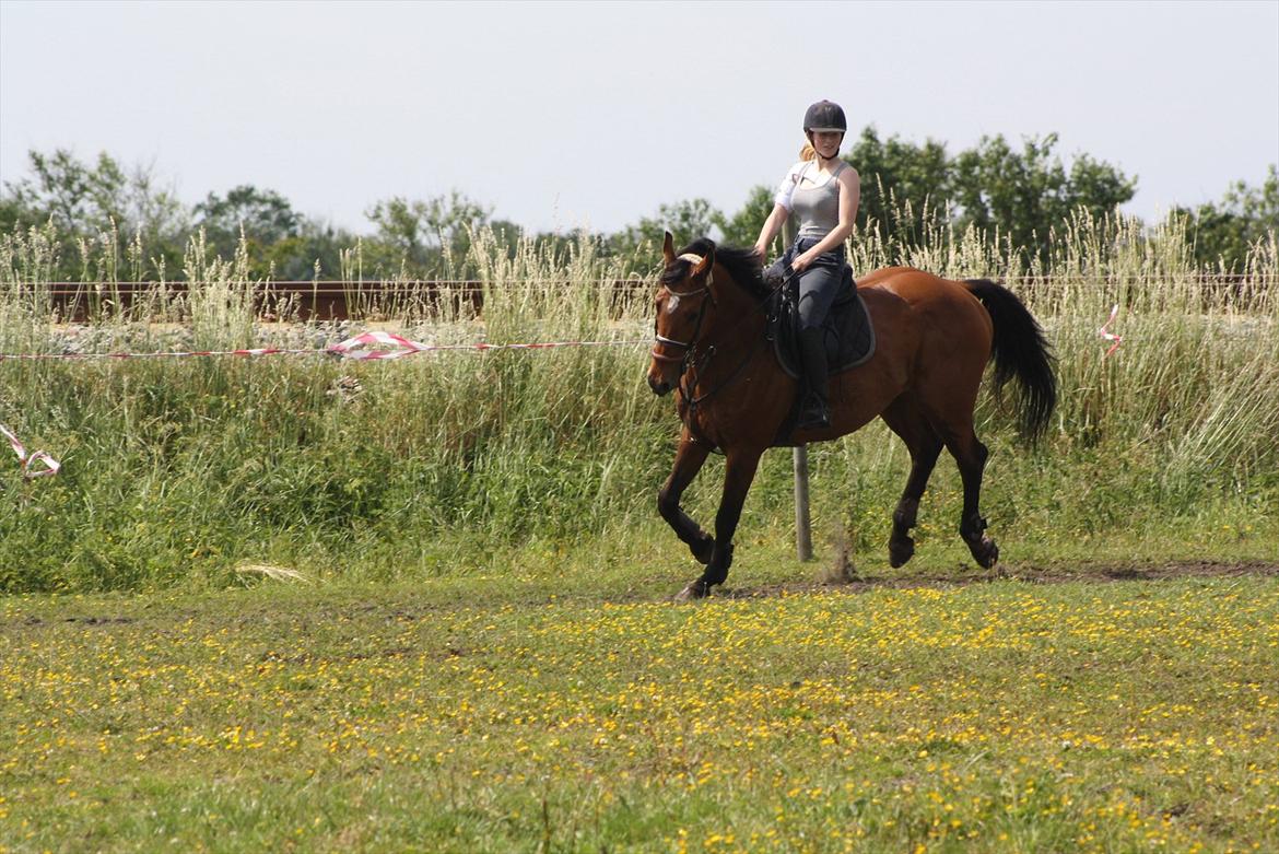 Billeder til min veninde  billede 120