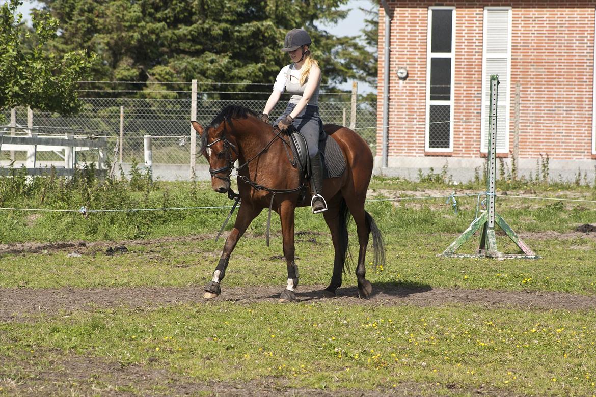 Billeder til min veninde  billede 125