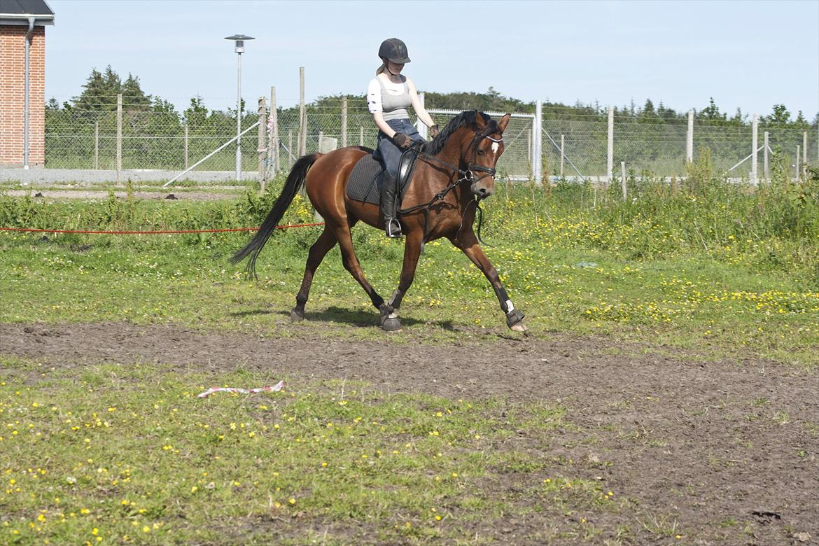 Billeder til min veninde  billede 130