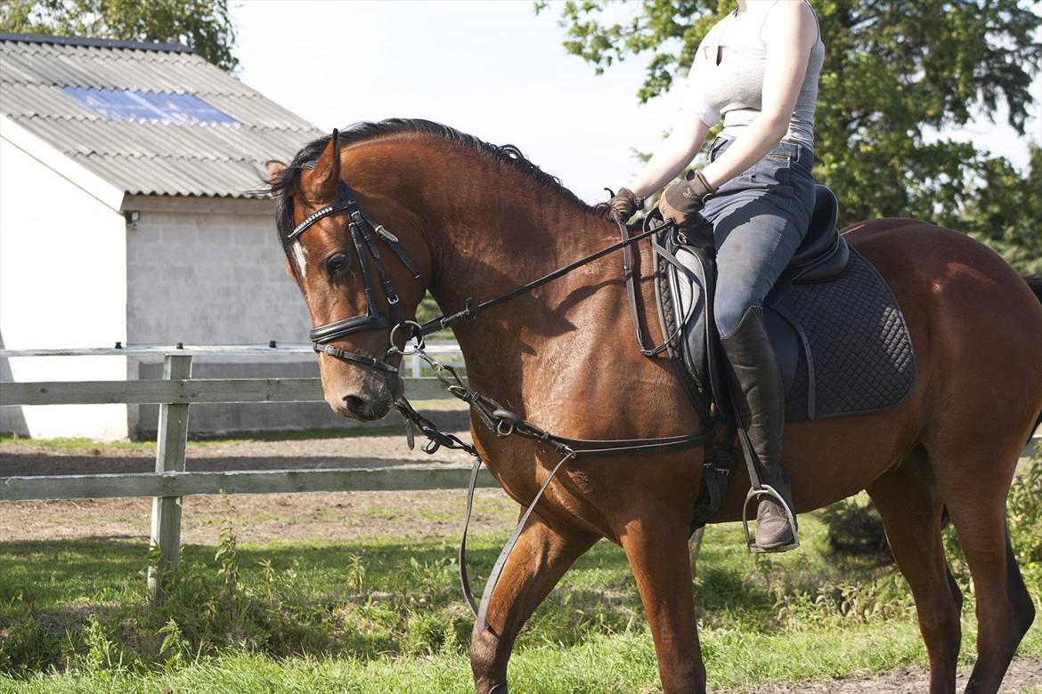 Billeder til min veninde  billede 131