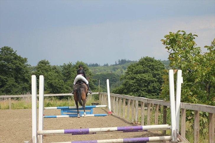 Stævner<3 - Klubmesterskab på B-R-F d.23 juni 2012. Springer 50cm billede 23
