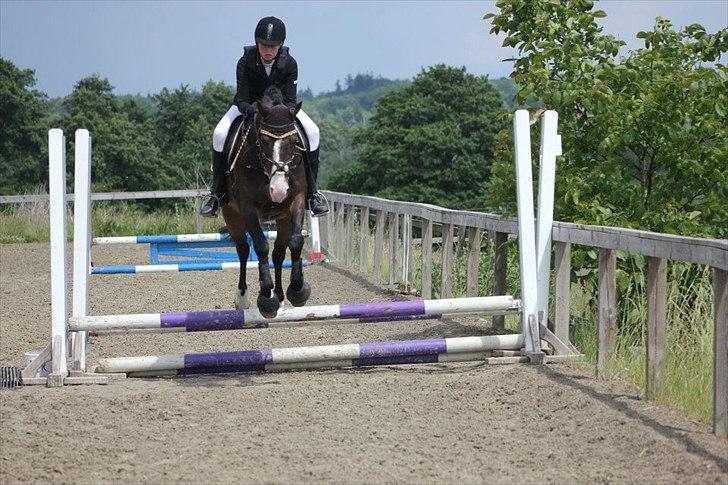 Stævner<3 - Klubmesterskab på B-R-F d.23 juni 2012. Springer 50cm billede 24