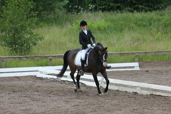 Stævner<3 - Klubmesterskab på B-R-F d.23 juni 2012. Startede La1 billede 13