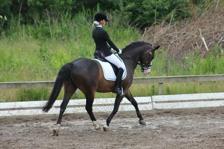 Stævner<3 - Klubmesterskab på B-R-F d.23 juni 2012. Startede La1 billede 14