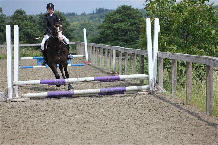 Stævner<3 - Klubmesterskab på B-R-F d.23 juni 2012. Springer 50cm billede 22