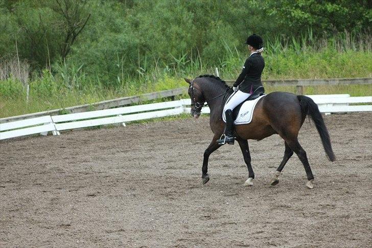 Stævner<3 - Klubmesterskab på B-R-F d.23 juni 2012. Startede La1 billede 15