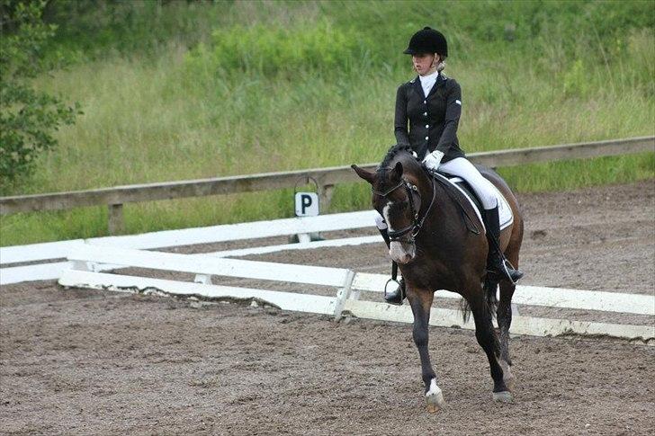 Stævner<3 - Klubmesterskab på B-R-F d.23 juni 2012. Startede La1 billede 16