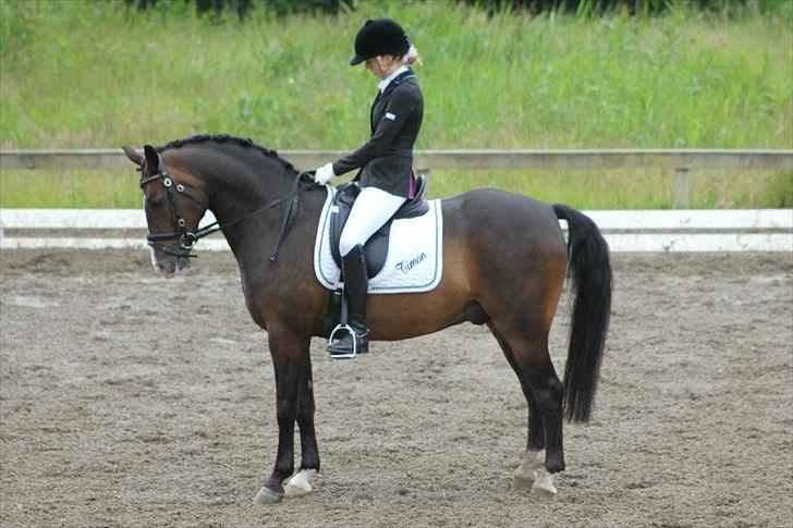 Stævner<3 - Klubmesterskab på B-R-F d.23 juni 2012. Startede La1 billede 18