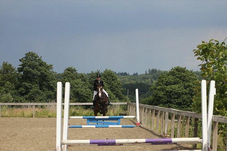 Stævner<3 - Klubmesterskab på B-R-F d.23 juni 2012. Springer 50cm billede 26