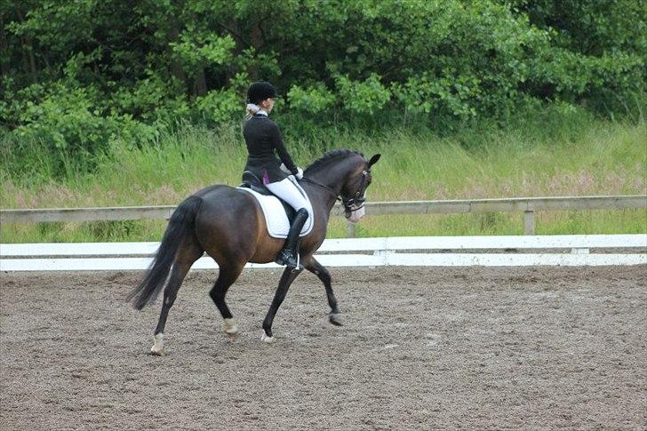 Stævner<3 - Klubmesterskab på B-R-F d.23 juni 2012. Startede La1 billede 20