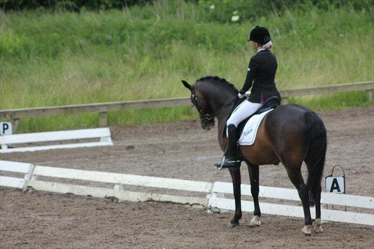 Stævner<3 - Klubmesterskab på B-R-F d.23 juni 2012. Startede La1 billede 21