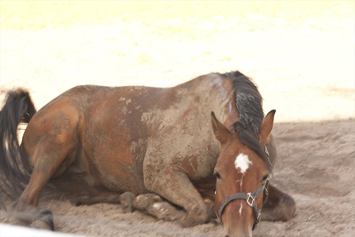 Billeder til min veninde  billede 132