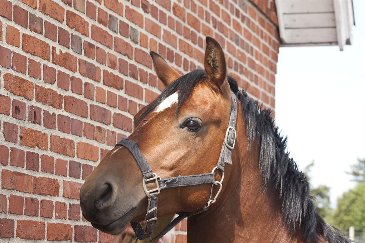 Billeder til min veninde  billede 133