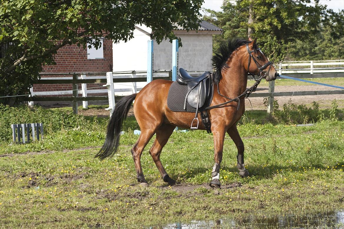 Billeder til min veninde  billede 134