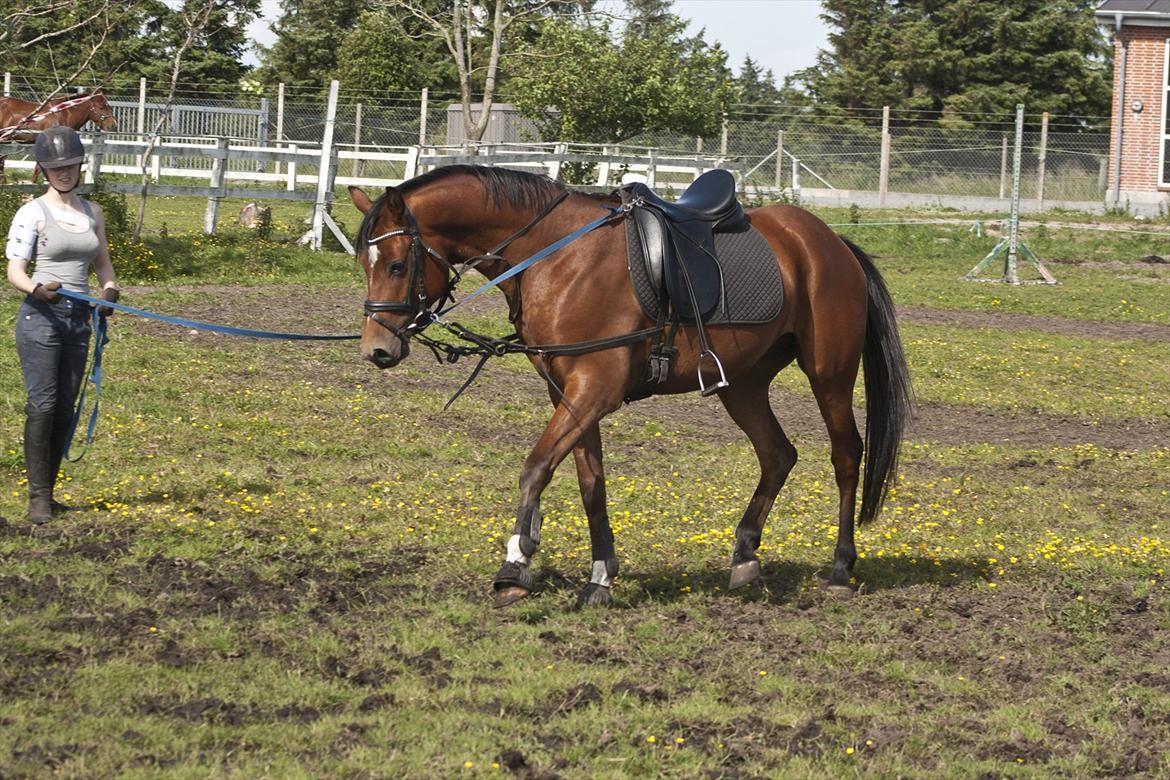 Billeder til min veninde  billede 135