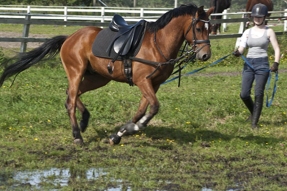 Billeder til min veninde  billede 136