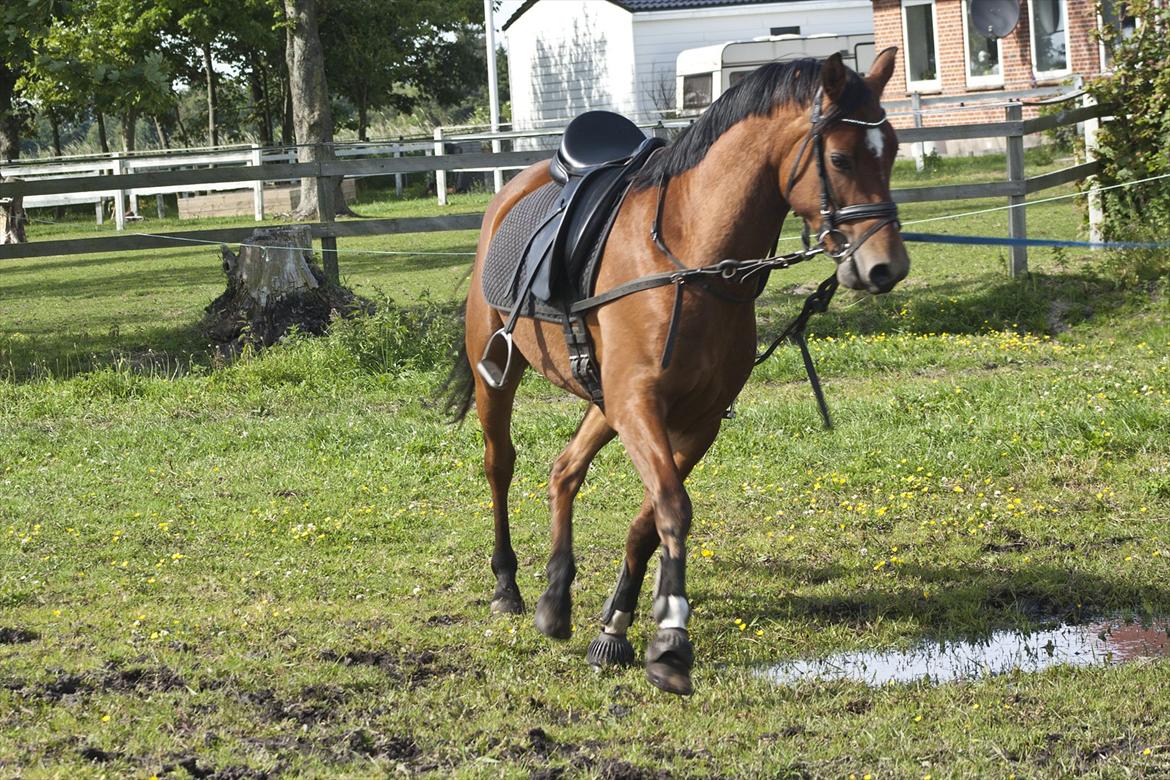 Billeder til min veninde  billede 137