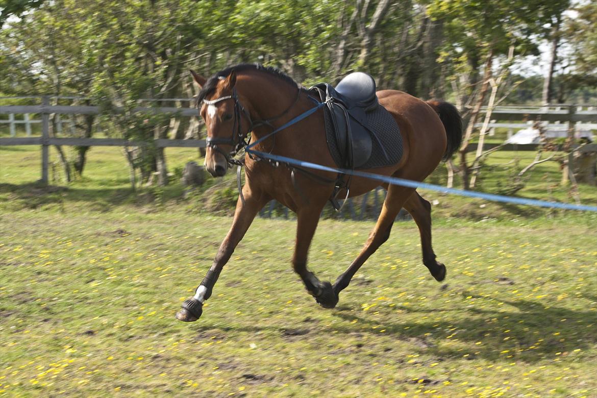 Billeder til min veninde  billede 138