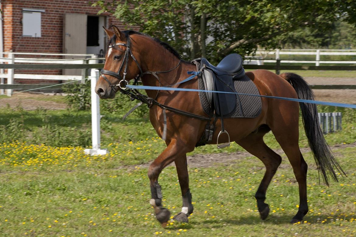 Billeder til min veninde  billede 139