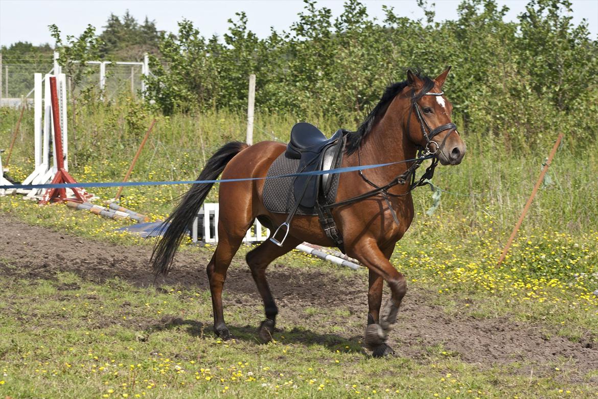 Billeder til min veninde  billede 140