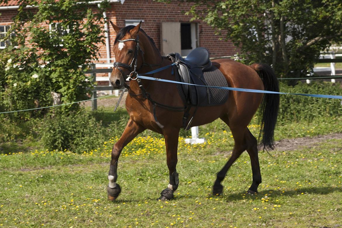 Billeder til min veninde  billede 141