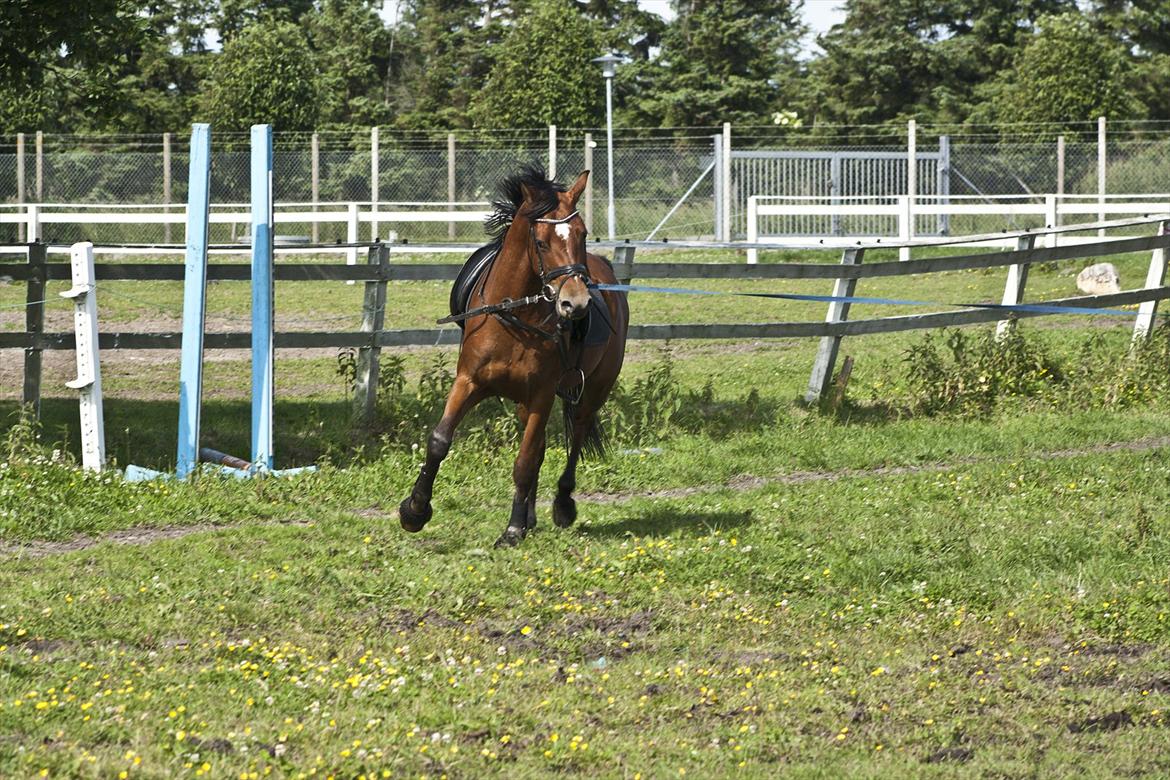 Billeder til min veninde  billede 142