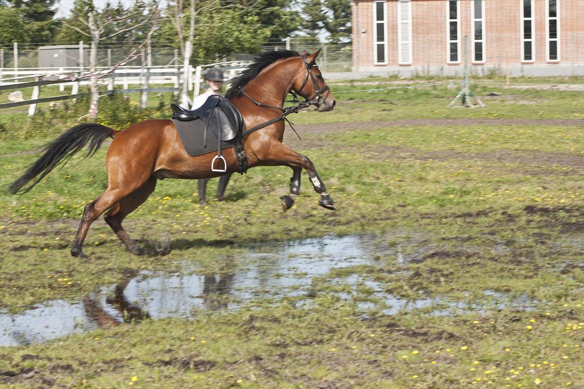 Billeder til min veninde  billede 143