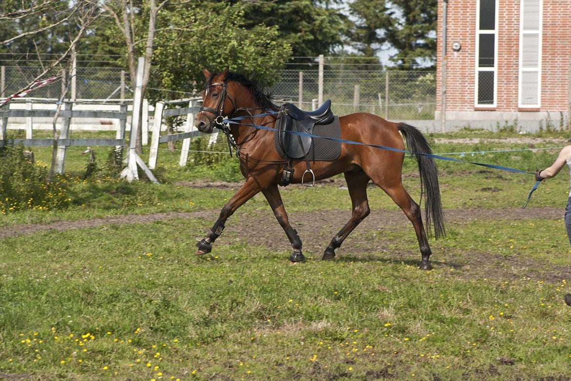 Billeder til min veninde  billede 144