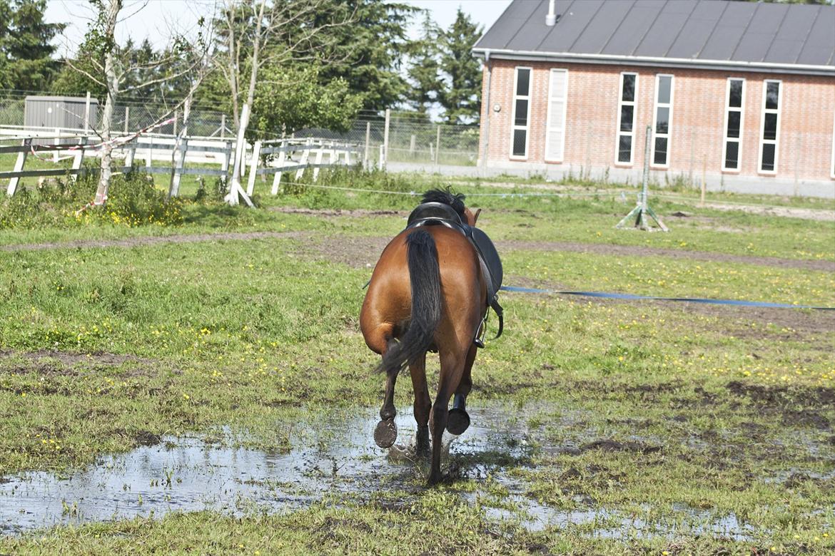 Billeder til min veninde  billede 145