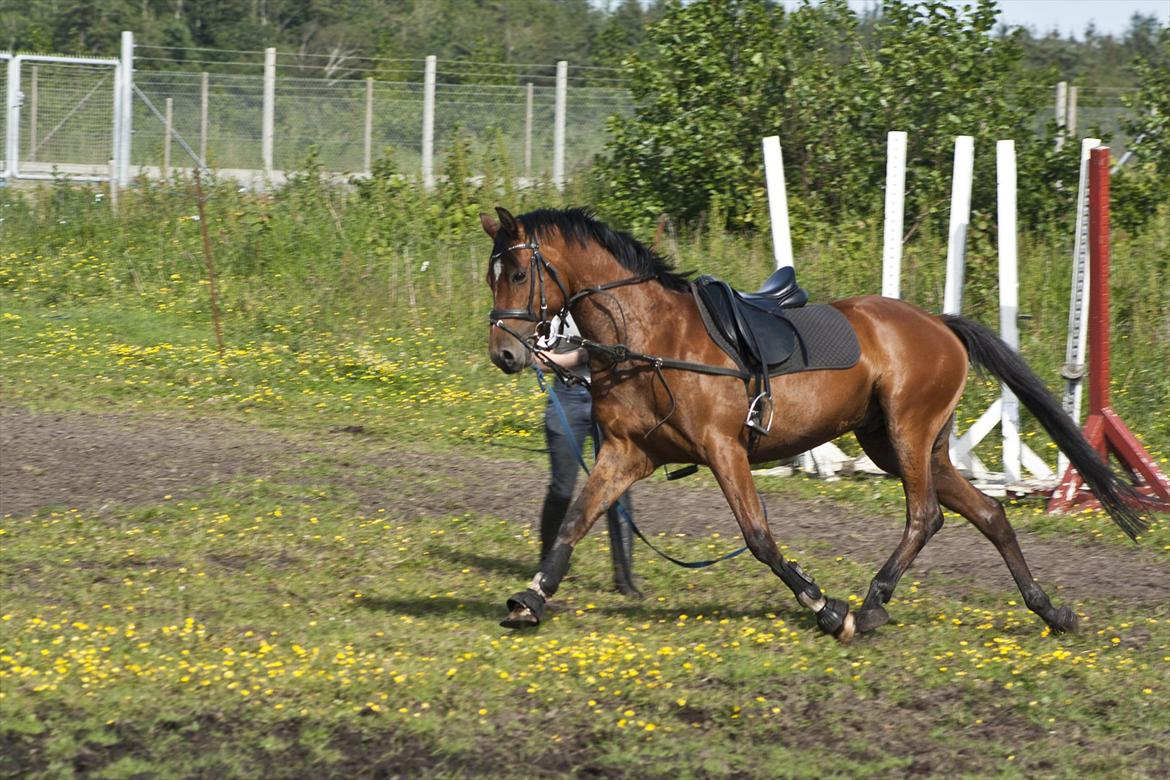 Billeder til min veninde  billede 147