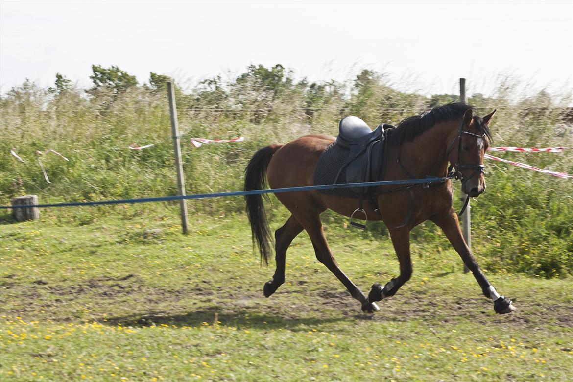 Billeder til min veninde  billede 149