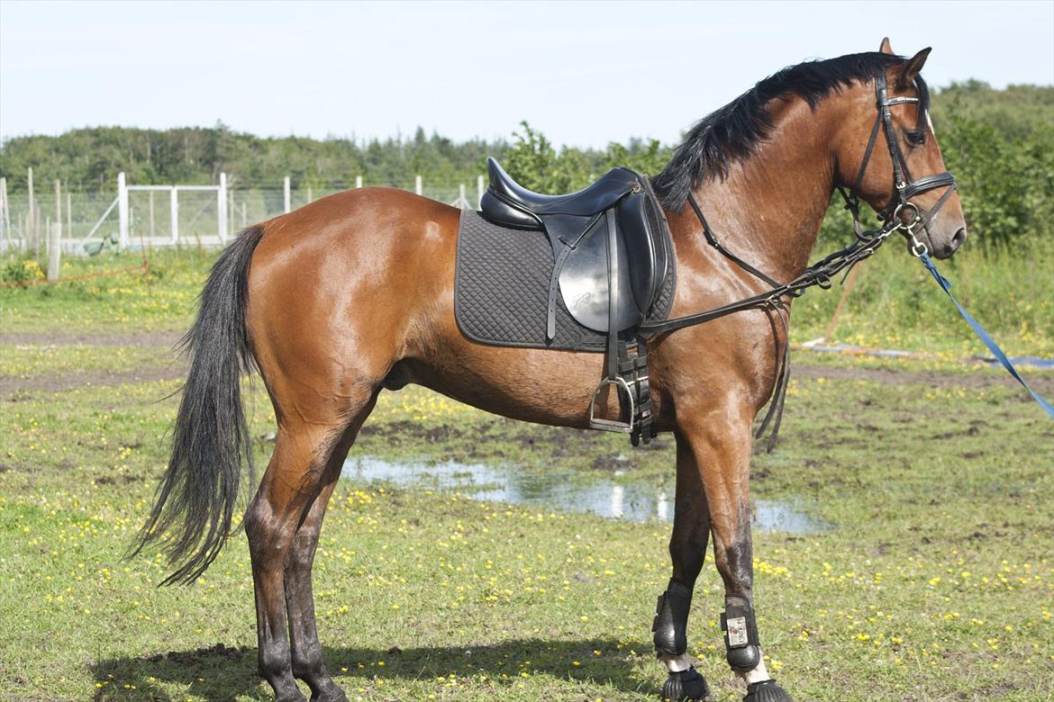 Billeder til min veninde  billede 150