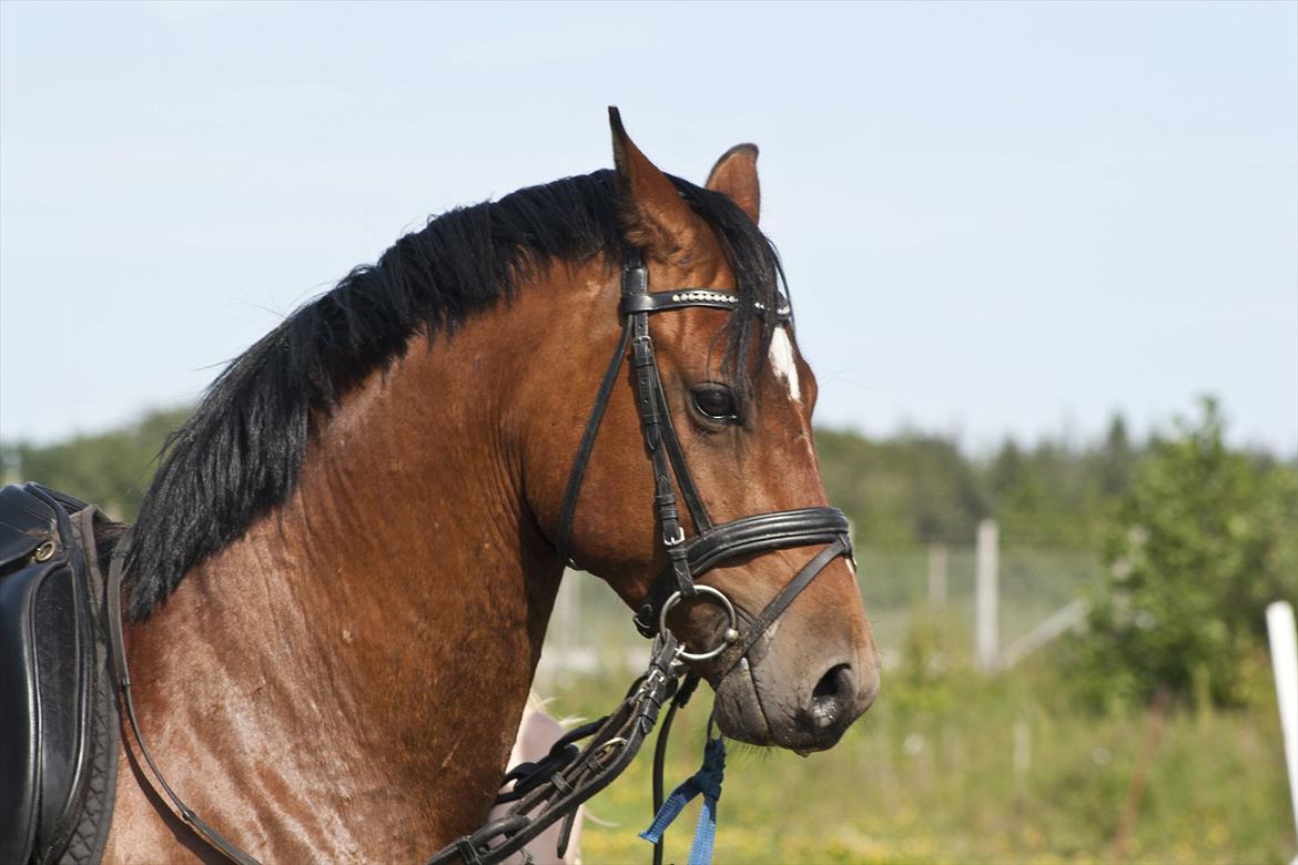 Billeder til min veninde  billede 152