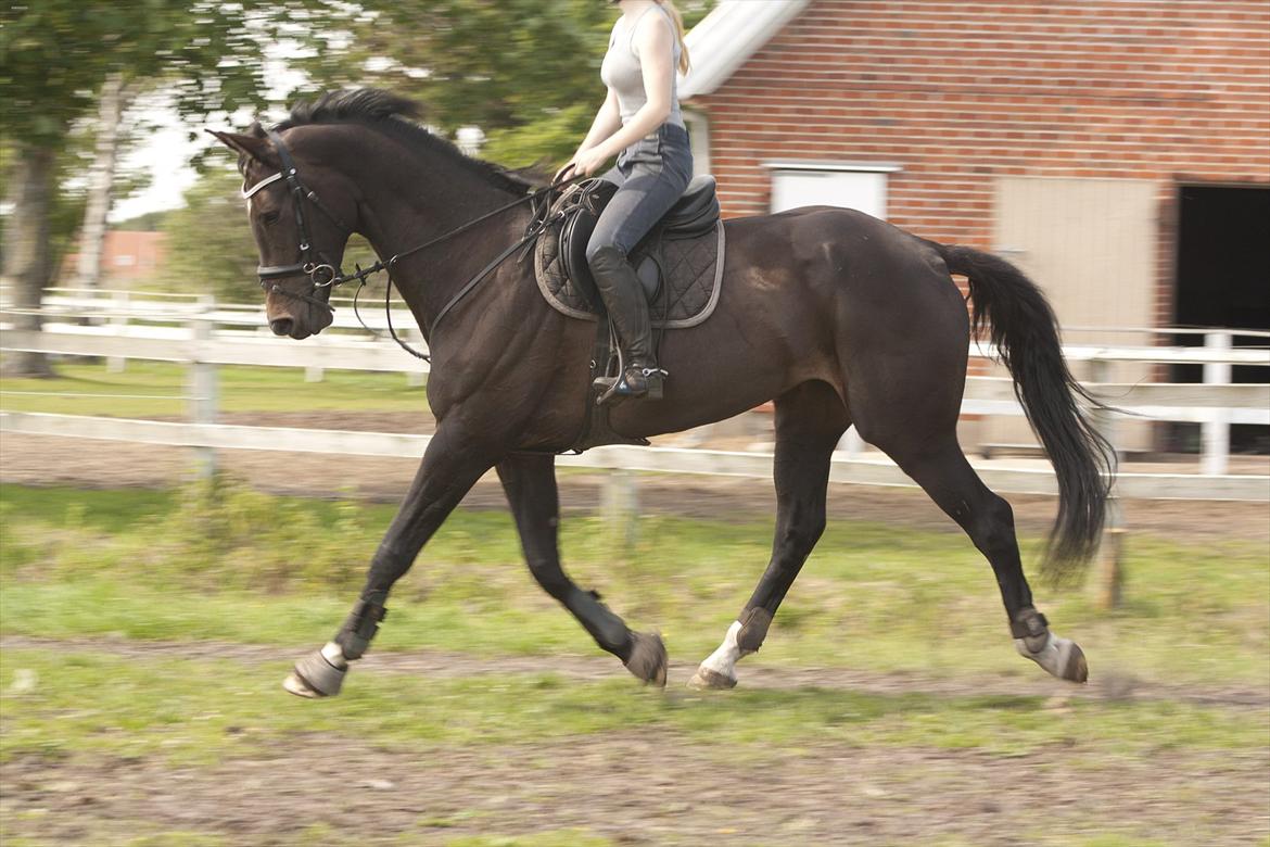 Billeder til min veninde  billede 156